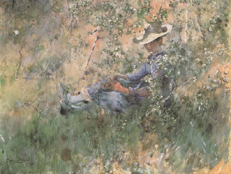 Carl Larsson Girl Among the Hawthorn Blossoms oil painting picture